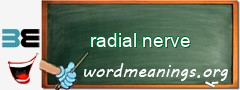 WordMeaning blackboard for radial nerve